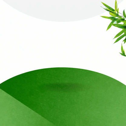 PARCHES DESINTOXICANTES KINOKI™ - OFERTA LLEVA 100 UNIDADES