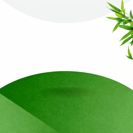 PARCHES DESINTOXICANTES KINOKI™ - OFERTA LLEVA 100 UNIDADES